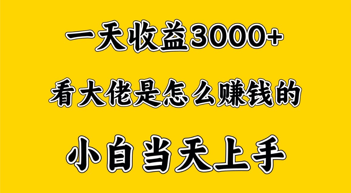 一天赚3000多，大佬是这样赚到钱的，小白当天上手，穷人翻身项目-泡泡网赚