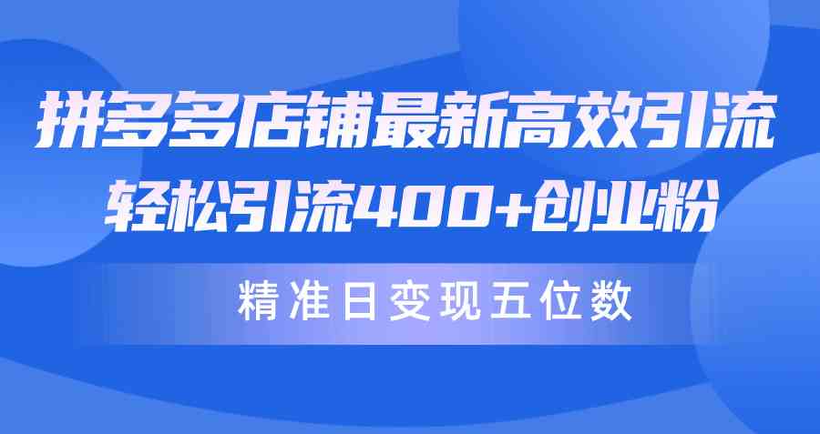 （10041期）拼多多店铺最新高效引流术，轻松引流400+创业粉，精准日变现五位数！-泡泡网赚