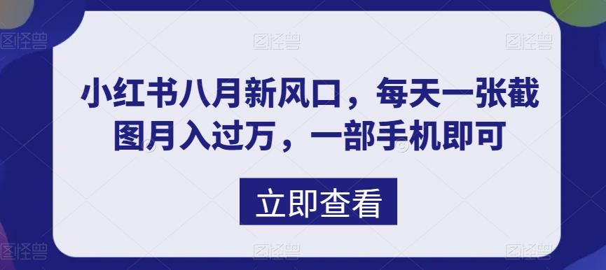 八月新风口，小红书虚拟项目一天收入1000+，实战揭秘-泡泡网赚