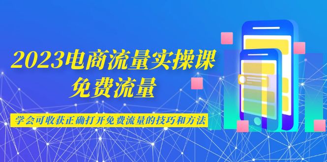 2023电商流量实操课-免费流量，学会可收获正确打开免费流量的技巧和方法-泡泡网赚