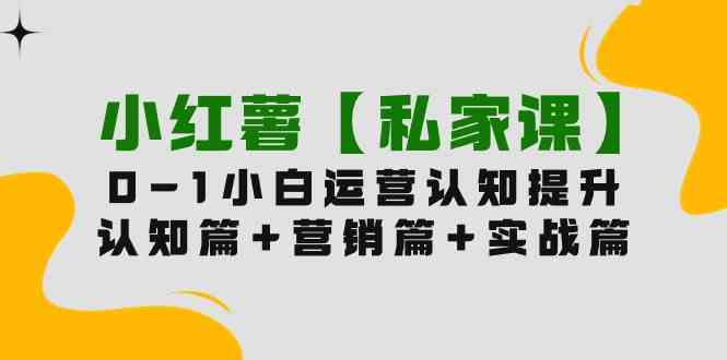 （9910期）小红薯【私家课】0-1玩赚小红书内容营销，认知篇+营销篇+实战篇（11节课）-泡泡网赚