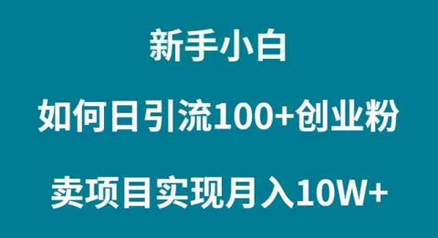 （9556期）新手小白如何通过卖项目实现月入10W+-泡泡网赚