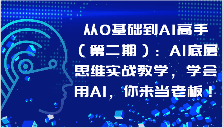 从0基础到AI高手（第二期）：AI底层思维实战教学，学会用AI，你来当老板！-泡泡网赚