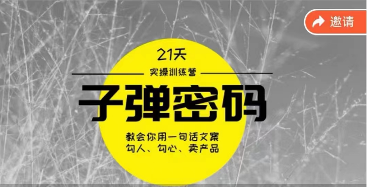 《子弹密码训练营》用一句话文案勾人勾心卖产品，21天学到顶尖文案大师策略和技巧-泡泡网赚