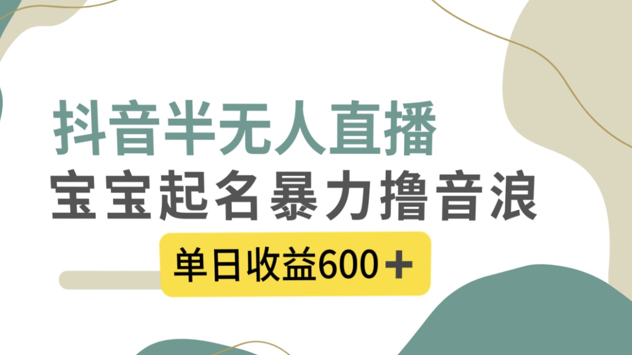 抖音半无人直播，宝宝起名，暴力撸音浪，单日收益600+-泡泡网赚