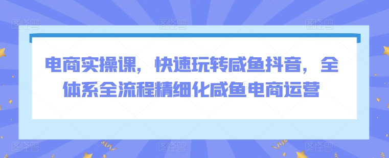 电商实操课，快速玩转咸鱼抖音，全体系全流程精细化咸鱼电商运营-泡泡网赚