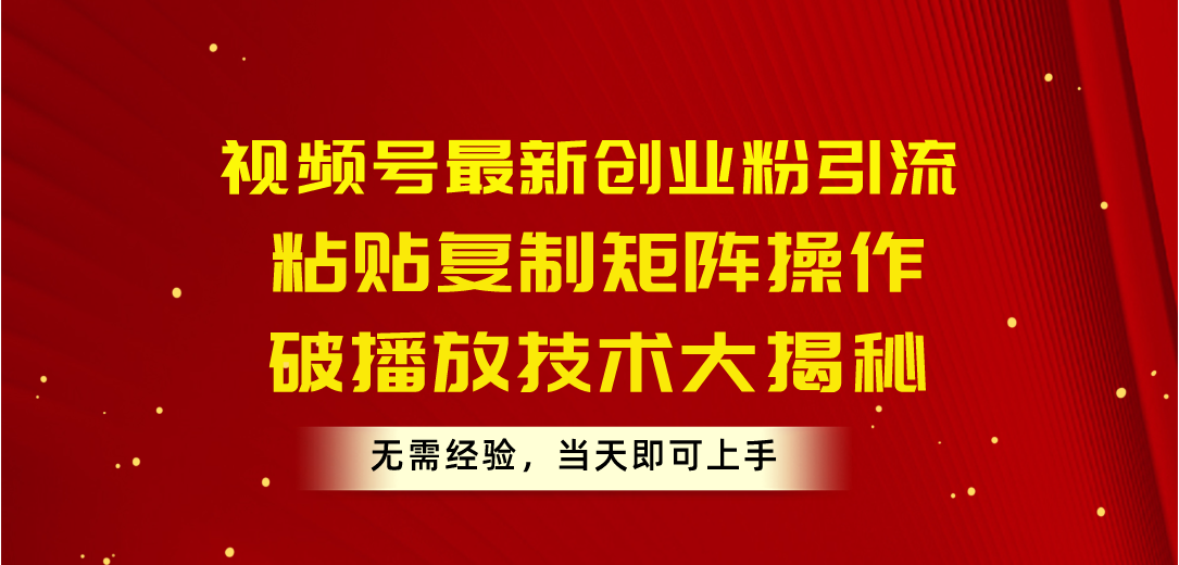 （10803期）视频号最新创业粉引流，粘贴复制矩阵操作，破播放技术大揭秘，无需经验…-泡泡网赚