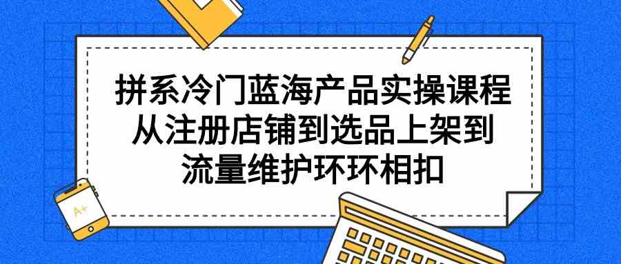 （9527期）拼系冷门蓝海产品实操课程，从注册店铺到选品上架到流量维护环环相扣-泡泡网赚