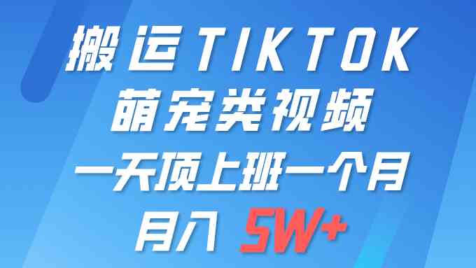 （9931期）一键搬运TIKTOK萌宠类视频 一部手机即可操作 所有平台均可发布 轻松月入5W+-泡泡网赚