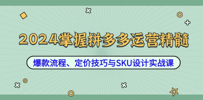 2024掌握拼多多运营精髓：爆款流程、定价技巧与SKU设计实战课-泡泡网赚