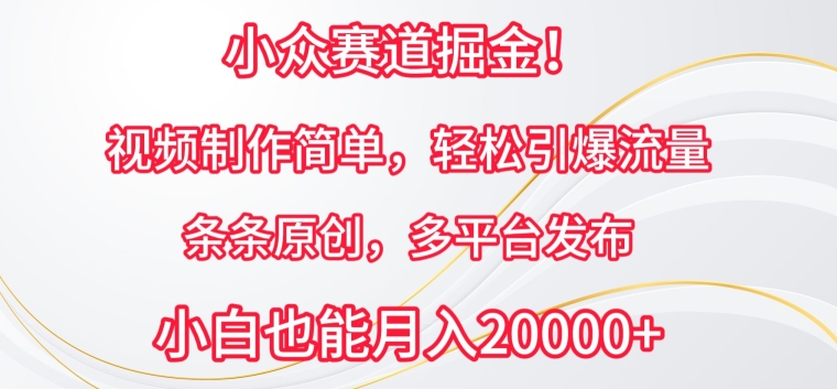 小众赛道掘金，视频制作简单，轻松引爆流量，条条原创，多平台发布-泡泡网赚