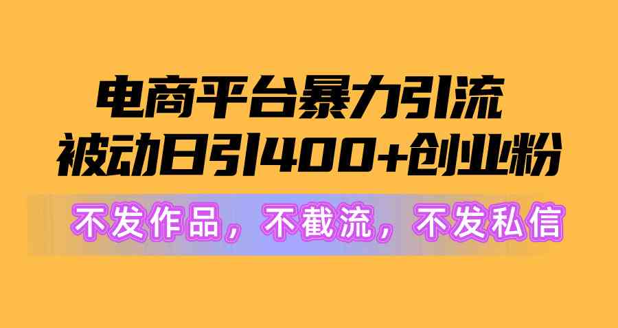 （10168期）电商平台暴力引流,被动日引400+创业粉不发作品，不截流，不发私信-泡泡网赚