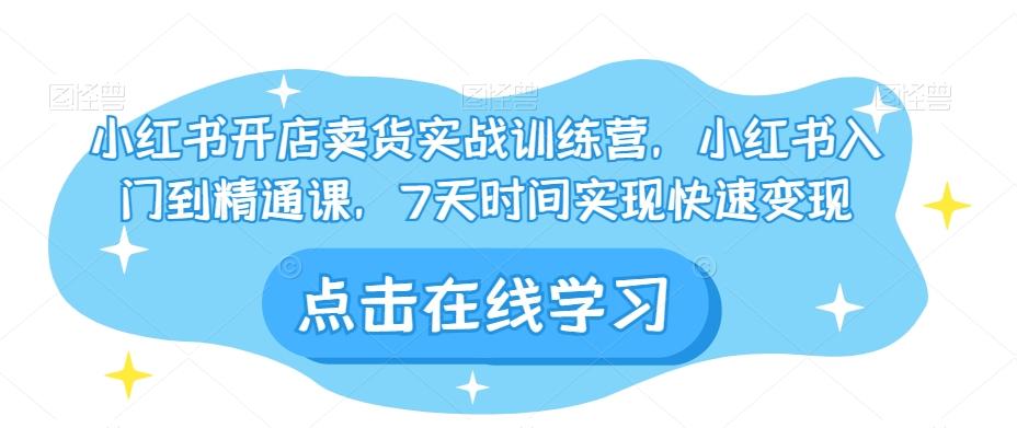 小红书开店卖货实战训练营，小红书入门到精通课，7天时间实现快速变现-泡泡网赚