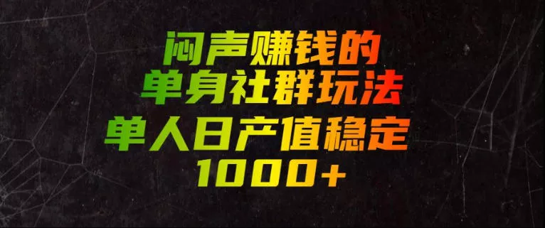 闷声賺钱的单身社群玩法，单人日产值稳定1000+【揭秘】-泡泡网赚