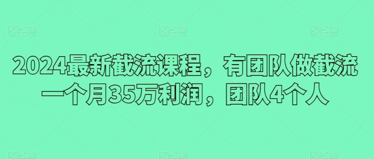 2024最新截流课程，有团队做截流一个月35万利润，团队4个人-泡泡网赚