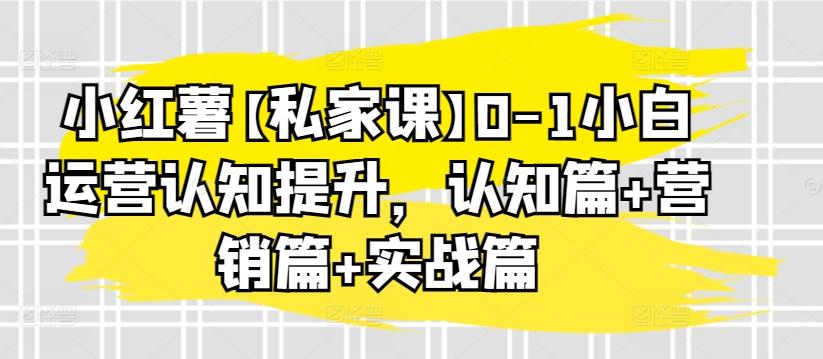 小红薯【私家课】0-1小白运营认知提升，认知篇+营销篇+实战篇-泡泡网赚