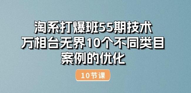 淘系打爆班55期技术：万相台无界10个不同类目案例的优化(10节)-泡泡网赚