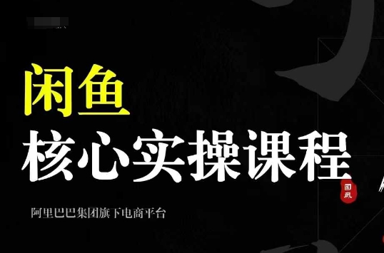 2024闲鱼核心实操课程，从养号、选品、发布、销售，教你做一个出单的闲鱼号-泡泡网赚