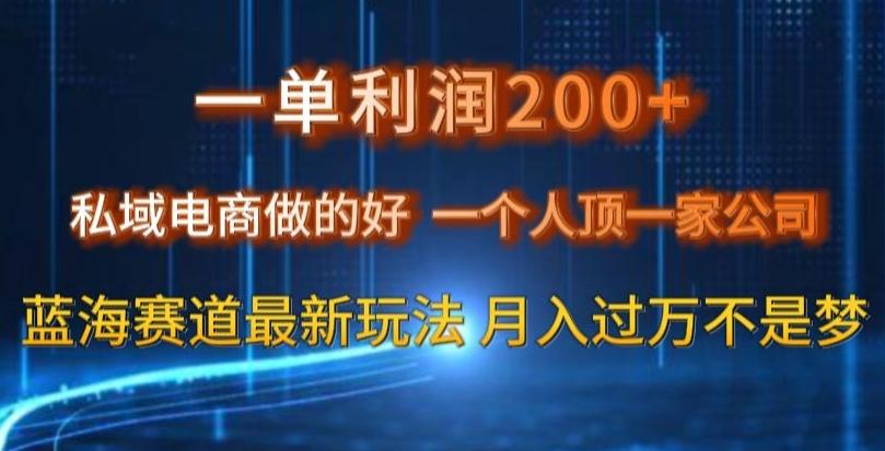 一单利润200私域电商做的好，一个人顶一家公司蓝海赛道最新玩法【揭秘】-泡泡网赚