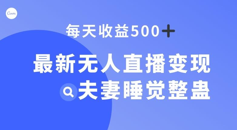 最新无人直播变现，夫妻睡觉整蛊，每天躺赚500+【揭秘】-泡泡网赚