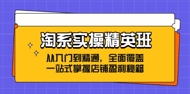 淘系实操精英班：从入门到精通，全面覆盖，一站式掌握店铺盈利秘籍-泡泡网赚