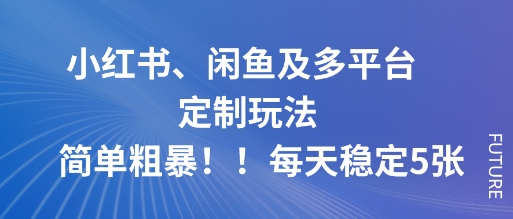 小红书、闲鱼及多平台定制玩法简单粗暴！每天稳定5张-泡泡网赚