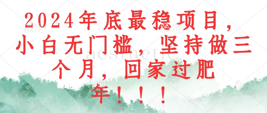 2024年底最稳项目，小白无门槛，坚持做三个月，回家过肥年！！！-泡泡网赚