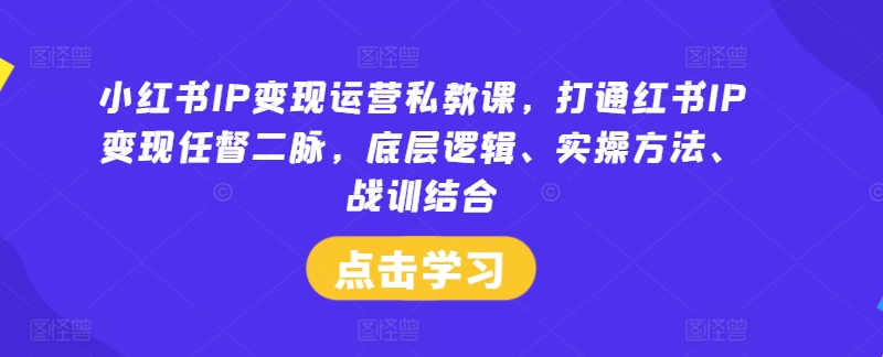 小红书IP变现运营私教课，打通红书IP变现任督二脉，底层逻辑、实操方法、战训结合-泡泡网赚