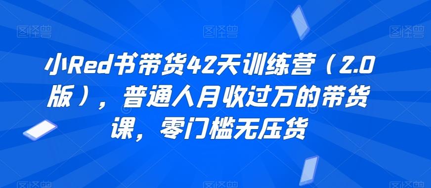小Red书带货42天训练营(2.0版)，普通人月收过万的带货课，零门槛无压货-泡泡网赚