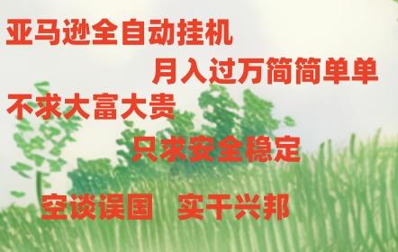 亚马逊全自动浏览挂机，，收益稳定且前景广阔-泡泡网赚