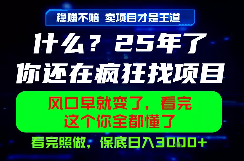 26年，请不要疯狂的找项目做了！卖项目才是真的稳賺不赔，看完照做，保底日入1k+【揭秘】-泡泡网赚