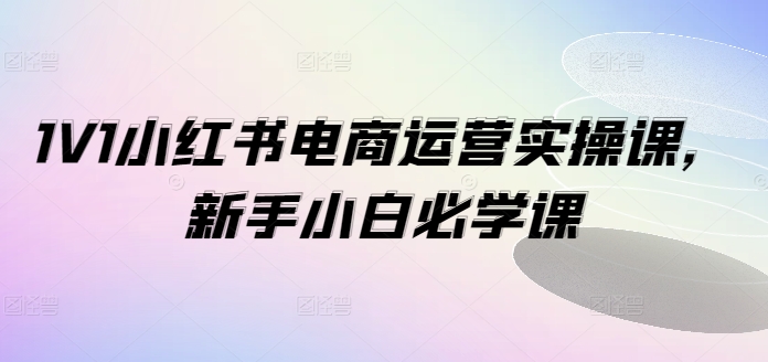 1V1小红书电商运营实操课，新手小白必学课-泡泡网赚