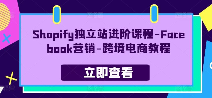 Shopify独立站进阶课程-Facebook营销-跨境电商教程-泡泡网赚