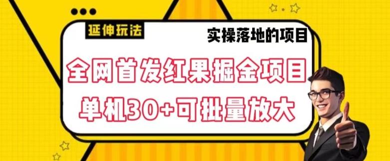 全网首发红果免费短剧掘金项目，单机30+可批量放大【揭秘】-泡泡网赚