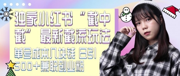 最新小红书截流玩法 独家截中截 单号成本几块钱 日引500+CY粉JZ粉-泡泡网赚