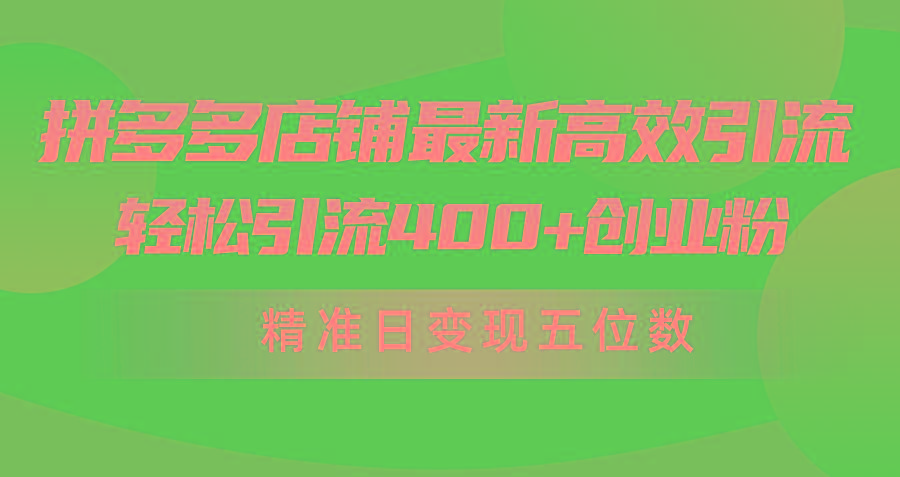 (10041期)拼多多店铺最新高效引流术，轻松引流400+创业粉，精准日变现五位数！-泡泡网赚