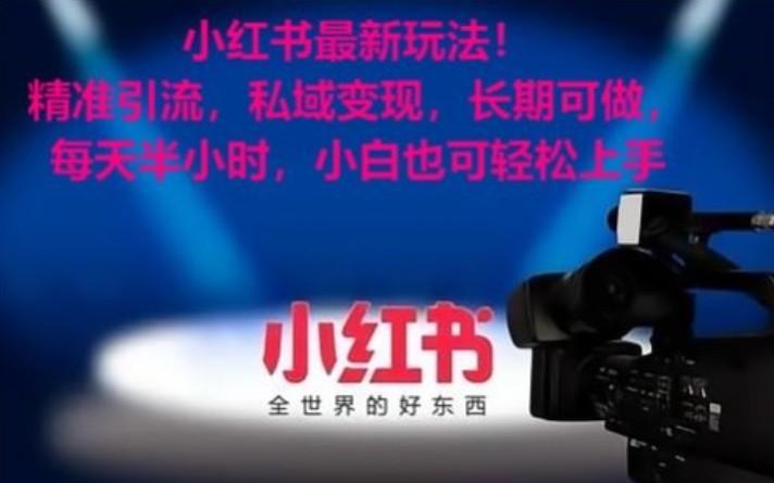 小红书最新玩法！精准引流，私域变现，长期可做，每天半小时，小白也可轻松上手-泡泡网赚