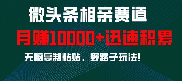 微头条相亲赛道，迅速积累，无脑复制粘贴，野路子玩法，月入1w-泡泡网赚
