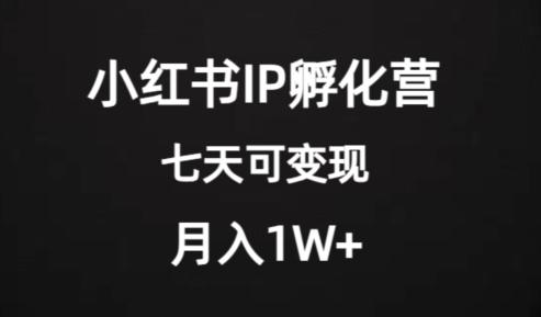 价值2000+的小红书IP孵化营项目，超级大蓝海，七天即可开始变现，稳定月入1W+-泡泡网赚