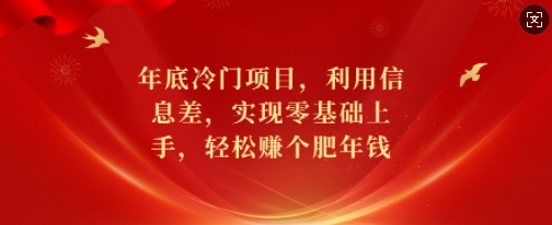 年底冷门项目，利用信息差，实现零基础上手，轻松赚个肥年钱【揭秘】-泡泡网赚