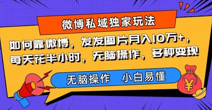 如何靠微博，发发图片月入10万+，‌每天花半小时，无脑操作，多种变现-泡泡网赚