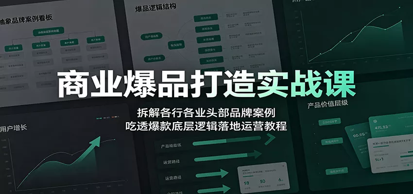 商业爆品打造实战课：拆解各行各业头部品牌案例，吃透爆款底层逻辑落地运营教程-泡泡网赚