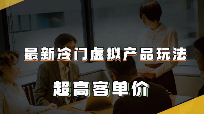 最新冷门虚拟产品玩法，超高客单价，月入2-3万＋【揭秘】-泡泡网赚