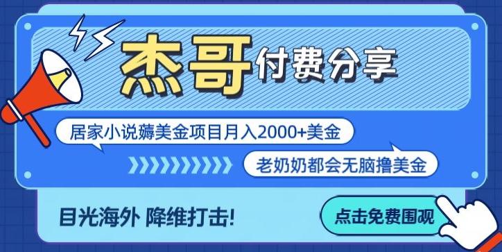 拆解海外撸美金项目月入2000美刀详细指导-泡泡网赚
