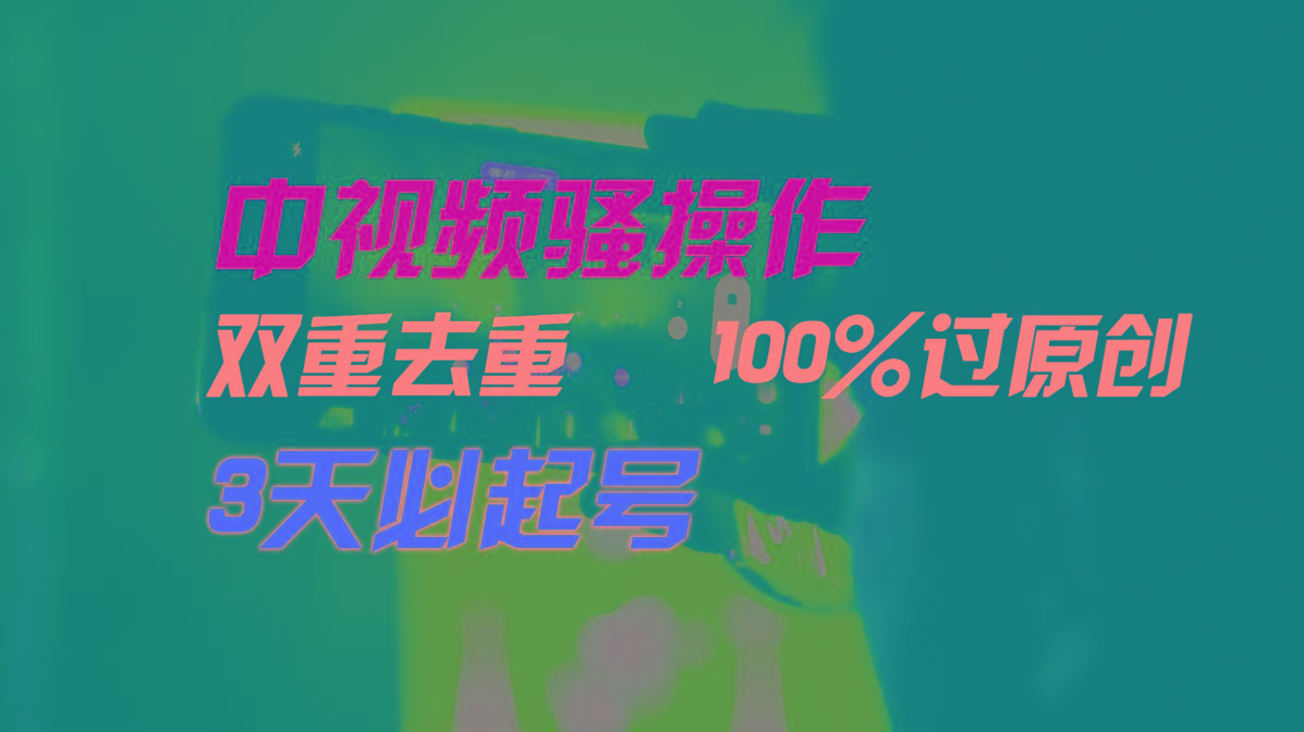 中视频骚操作，双重去重100%过原创，3天比必起号，简单无脑，月入3W+-泡泡网赚