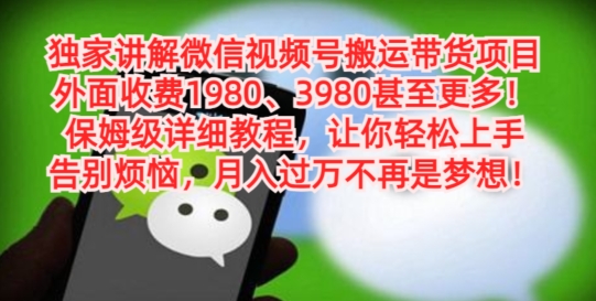 独家讲解微信视频号搬运带货项目，保姆级详细教程-泡泡网赚