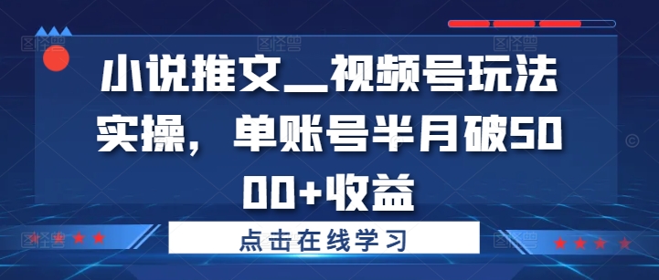 小说推文—视频号玩法实操，单账号半月破5000+收益-泡泡网赚