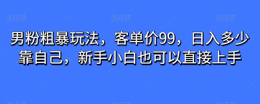 男粉粗暴玩法，客单价99，日入多少靠自己，新手小白也可以直接上手-泡泡网赚