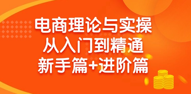 (9576期)电商理论与实操从入门到精通 新手篇+进阶篇-泡泡网赚