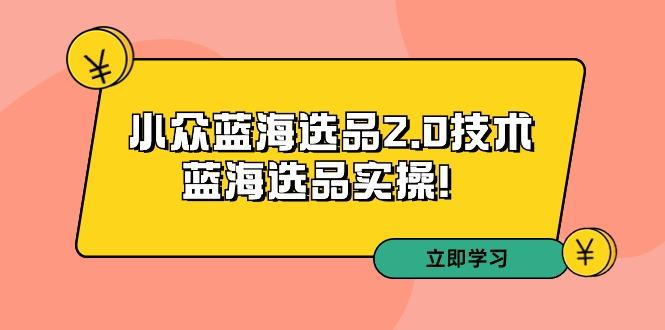 拼多多培训第33期：小众蓝海选品2.0技术-蓝海选品实操！-泡泡网赚
